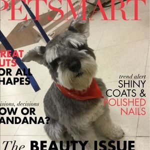 Meet your Posher, Araceli